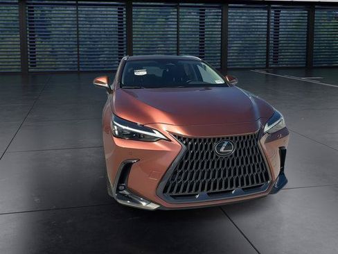 Certified 2025 Lexus NX 250 FWD w/ Cold Area Package image 3