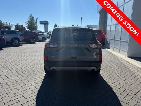 Used 2022 Ford Escape SE w/ Convenience Package image 3