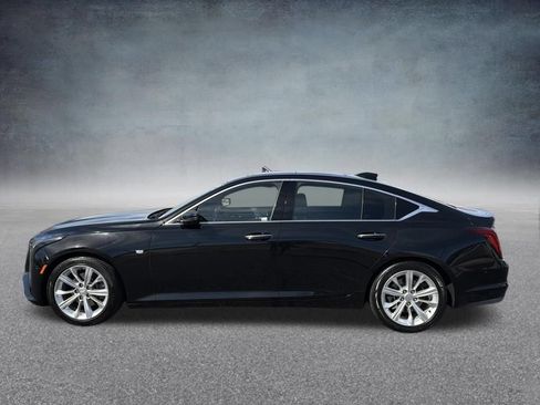 Certified 2025 Cadillac CT5 Premium Luxury w/ Sun And Sound Package RWD image 7