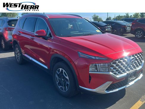 Used 2023 Hyundai Santa Fe Blue AWD/4WD image 1