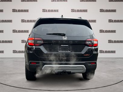 New 2025 Honda Pilot TrailSport