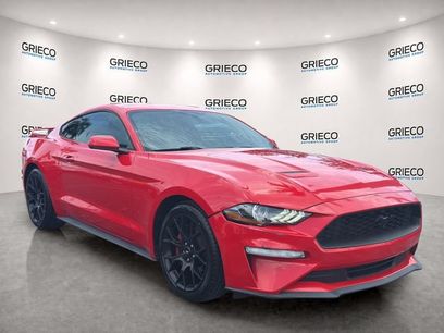 Used 2019 Ford Mustang Coupe w/ Ecoboost Performance Package