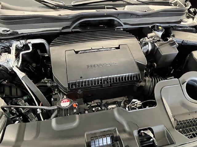 New 2026 Honda Passport TrailSport Elite image 12
