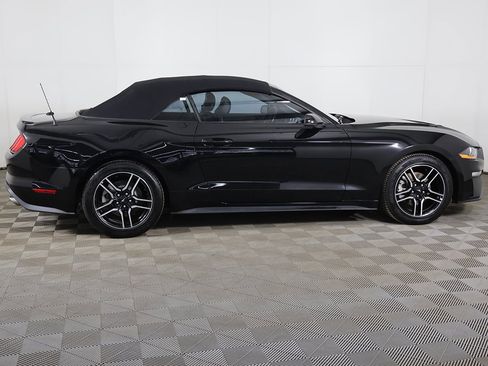 Used 2019 Ford Mustang Premium image 15