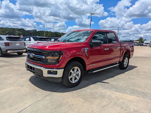 Used 2025 Ford F150 XLT w/ Equipment Group 301A Standard AWD/4WD image 1