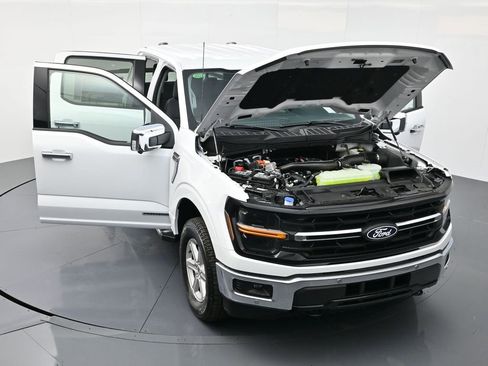 New 2025 Ford F150 XLT w/ Equipment Group 302A MID image 50