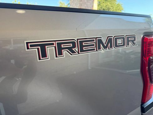 Used 2020 Ford F250 Platinum w/ Tremor Off-Road Package AWD/4WD image 14