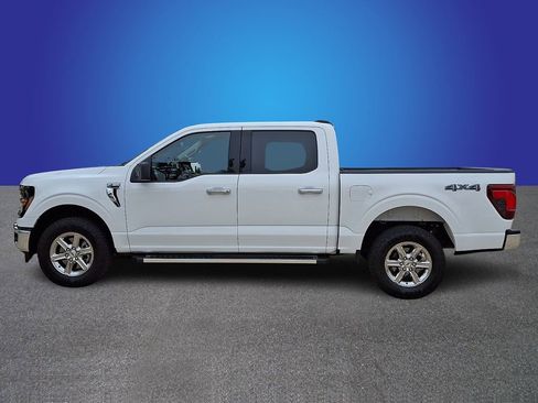 Used 2025 Ford F150 XLT w/ Equipment Group 301A Standard AWD/4WD image 7