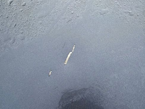 Used 2018 Honda Accord EX-L image 11