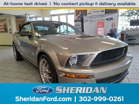 Used 2008 Ford Mustang Shelby GT500 image 1
