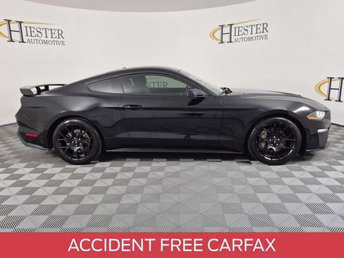 Used 2019 Ford Mustang Premium w/ Ecoboost Performance Package RWD image 3