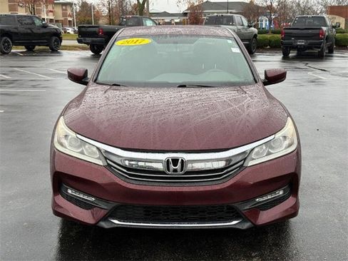 Used 2017 Honda Accord Sport Special Edition image 10