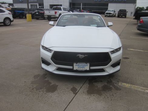 Used 2024 Ford Mustang Premium RWD image 2