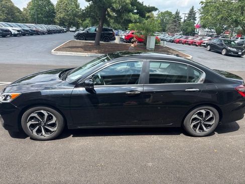Used 2016 Honda Accord EX-L image 6