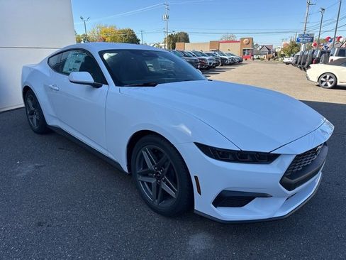 New 2026 Ford Mustang EcoBoost image 4