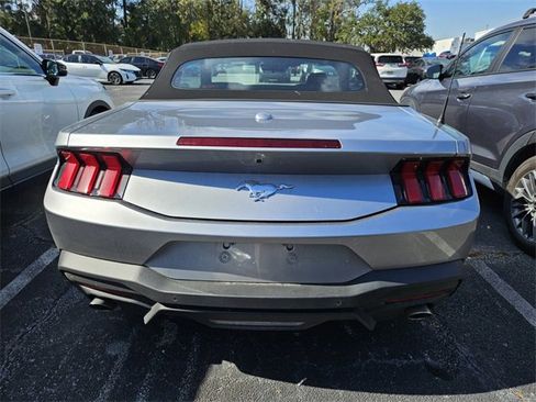 Used 2025 Ford Mustang EcoBoost image 8