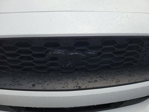 Used 2019 Ford Mustang Coupe w/ Equipment Group 101A image 22