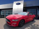 Certified 2022 Ford Mustang Premium image 4