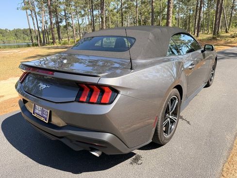 Used 2024 Ford Mustang Premium image 5