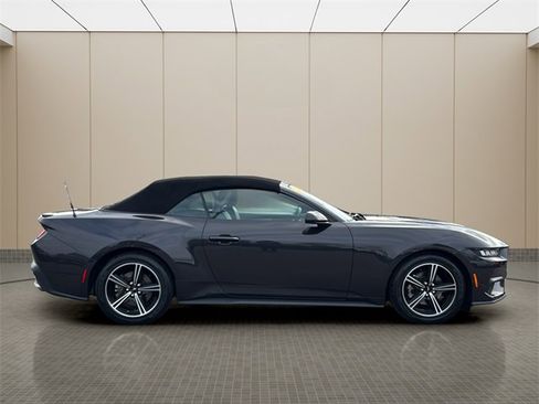 Used 2024 Ford Mustang Premium image 6