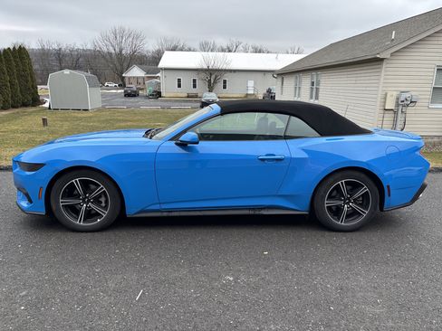 Used 2025 Ford Mustang Premium image 7