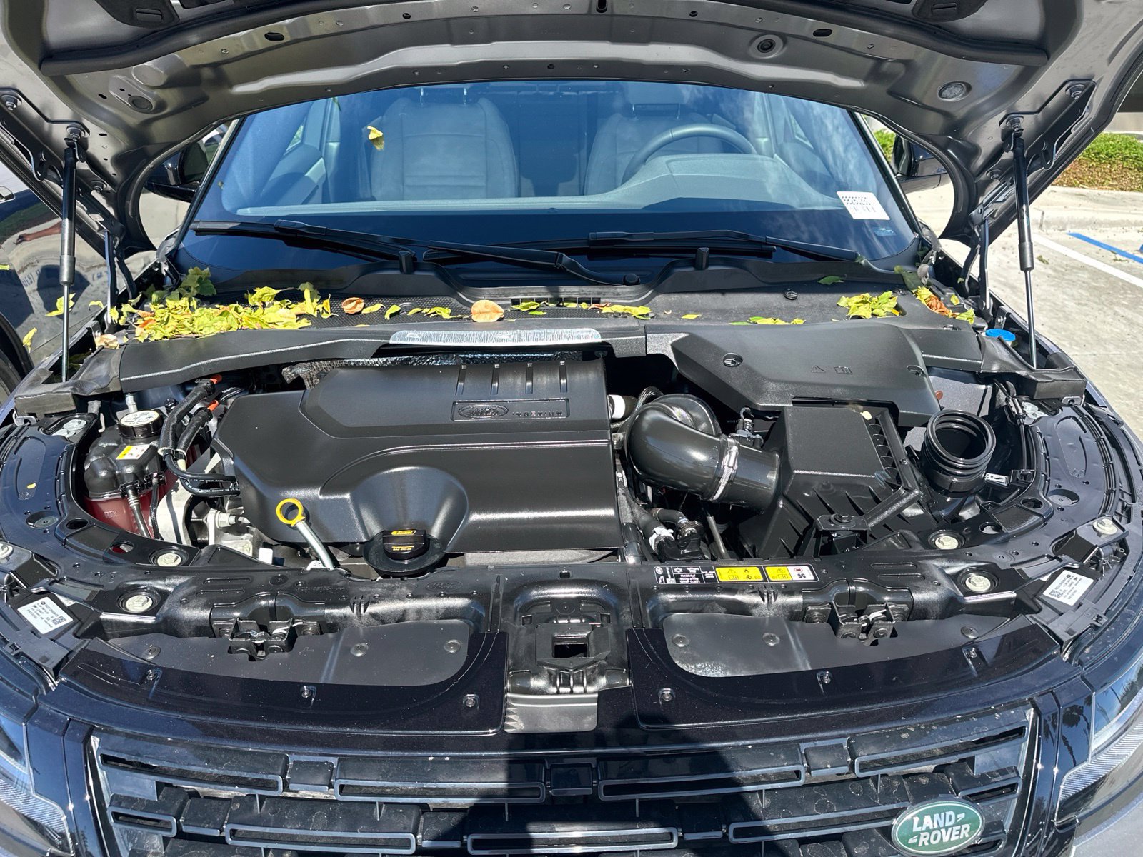Used 2026 Land Rover Range Rover Evoque S AWD/4WD image 8
