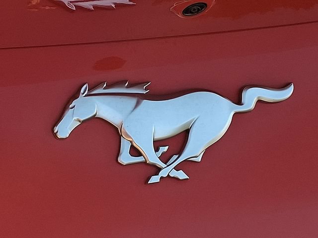 Used 2024 Ford Mustang Premium RWD image 30