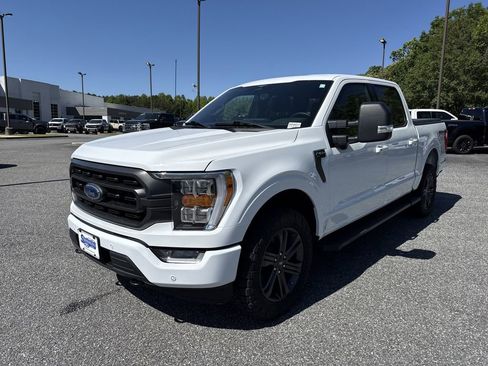 Used 2023 Ford F150 XLT w/ Equipment Group 302A High AWD/4WD image 3