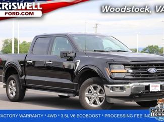 Used 2025 Ford F150 XLT w/ Equipment Group 301A Standard AWD/4WD video 1