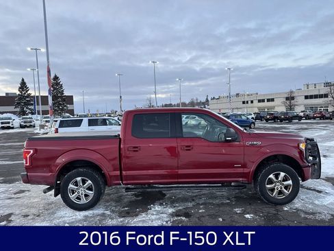 Used 2016 Ford F150 XLT w/ Equipment Group 302A Luxury image 6