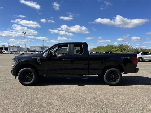 New 2025 Ford F150 STX image 4