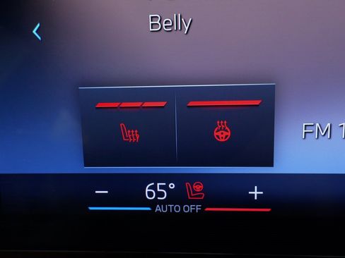 Used 2025 BMW X6 xDrive40i image 57