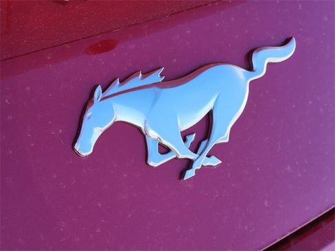 Used 2024 Ford Mustang Premium image 13