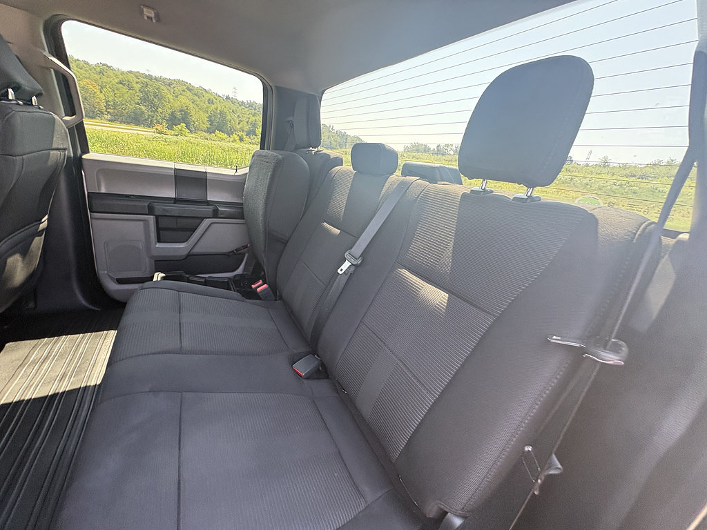 Used 2020 Ford F150 XL w/ Equipment Group 101A Mid AWD/4WD image 18