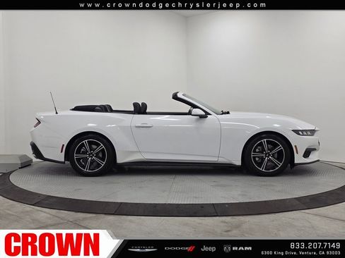 Used 2024 Ford Mustang EcoBoost image 8