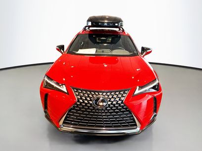 New 2025 Lexus UX 300h AWD w/ Cold Area Package