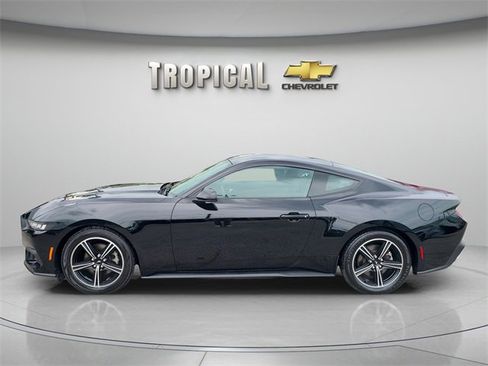 Used 2024 Ford Mustang EcoBoost image 2