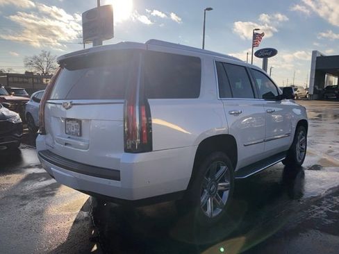 Used 2019 Cadillac Escalade Luxury image 5