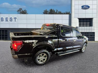 Used 2025 Ford F150 XLT w/ Equipment Group 301A Standard