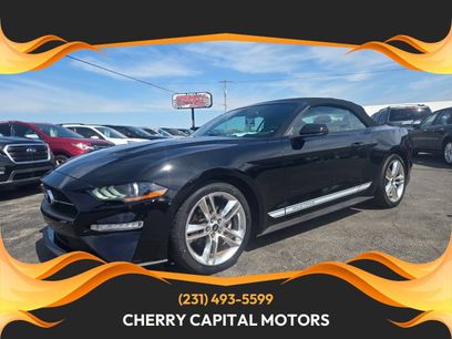 Used 2018 Ford Mustang Premium w/ Equipment Group 201A