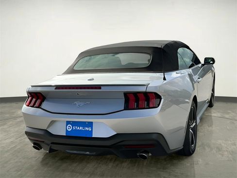 Certified 2024 Ford Mustang Premium image 7