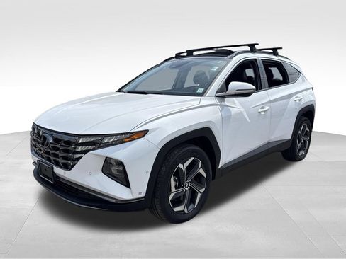 Used 2023 Hyundai Tucson Limited AWD/4WD image 3