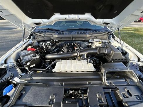 Used 2025 Ford F150 XLT w/ Equipment Group 301A Standard image 14