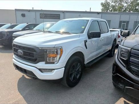 Used 2023 Ford F150 XLT w/ Equipment Group 302A High AWD/4WD image 6