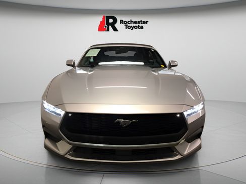 Used 2025 Ford Mustang Premium RWD image 2