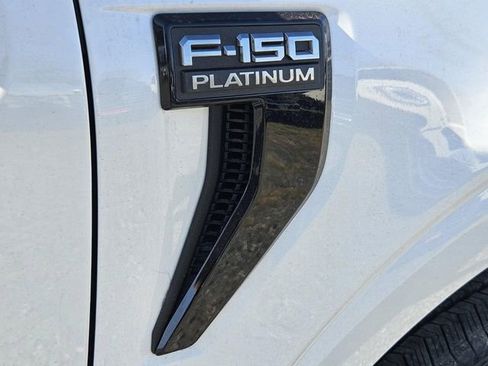 New 2026 Ford F150 Platinum image 5