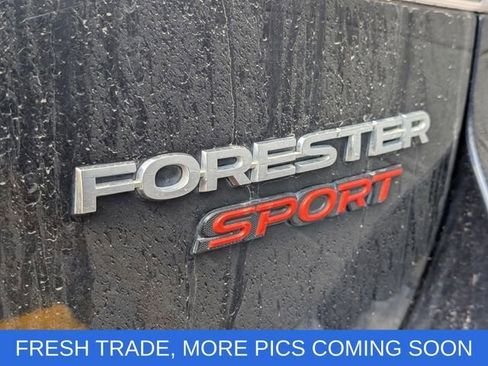 Used 2019 Subaru Forester Sport AWD/4WD image 13