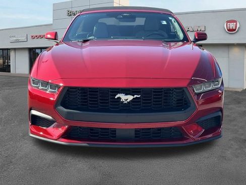 Used 2024 Ford Mustang Convertible RWD image 2