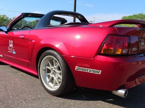 Used 1999 Ford Mustang Cobra RWD image 12