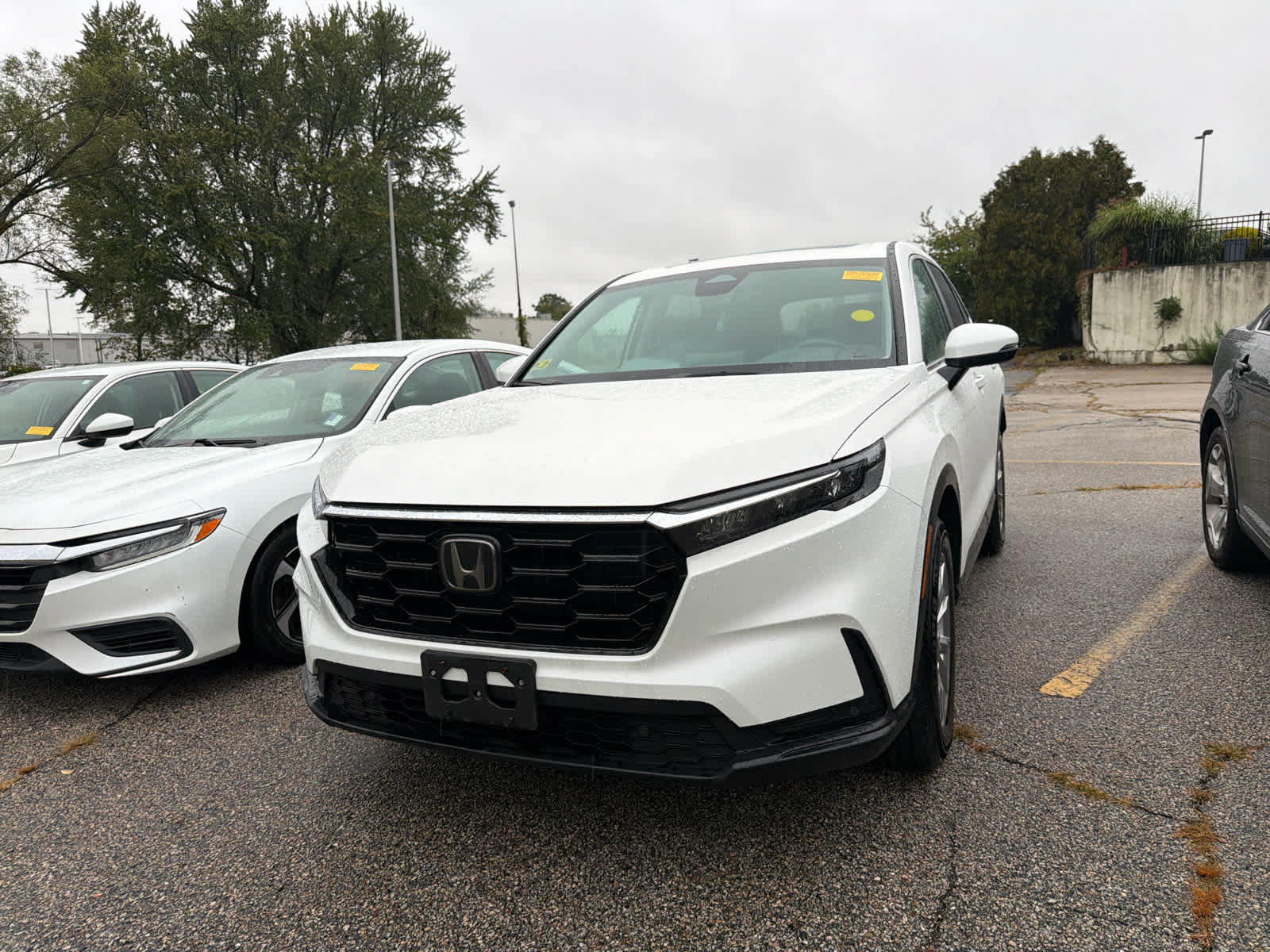 Used 2025 Honda CR-V EX-L image 7